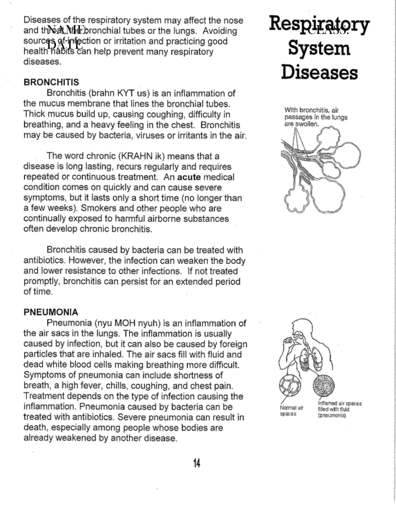 Respiratory system diseases worksheet Pertaining To Respiratory System Worksheet Answer Key