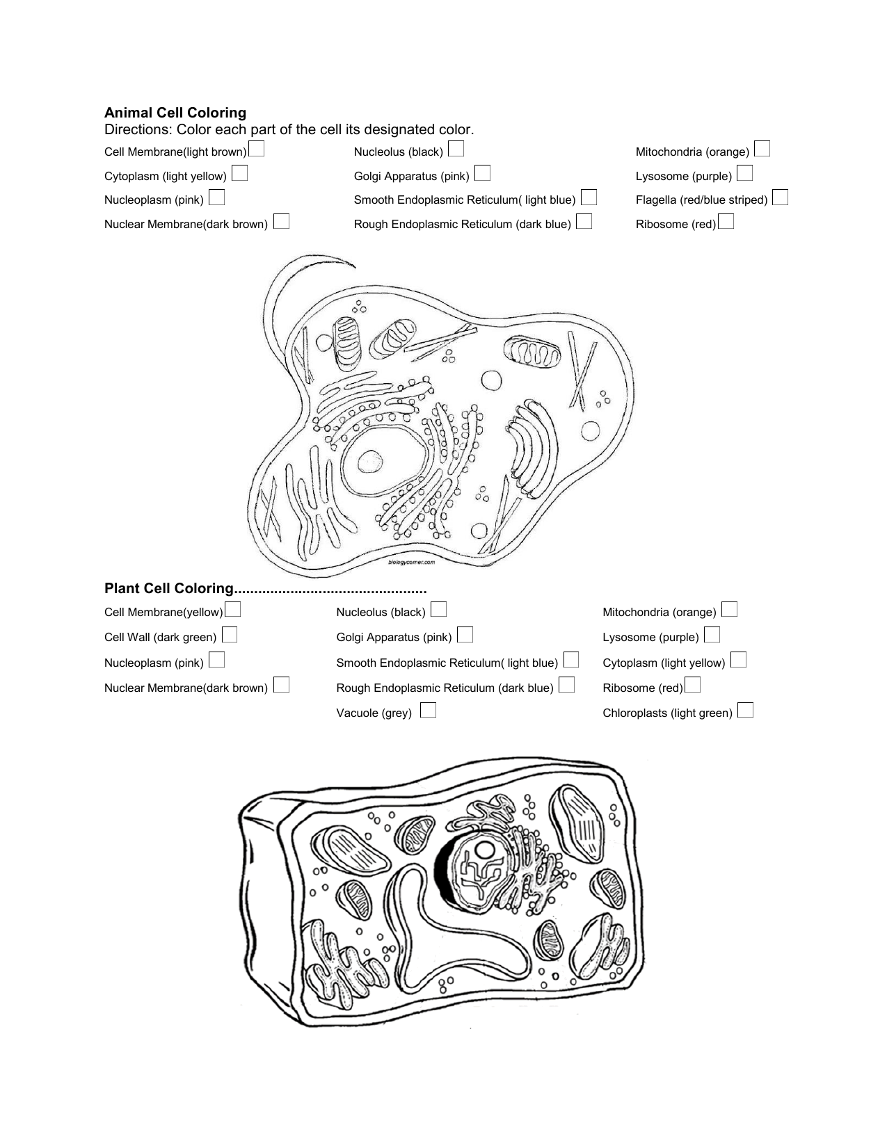 Animal And Plant Cell Coloring Worksheet Animal Cell Color Page Animal And Plant Cell Coloring Worksheet Animal Cell Color Page