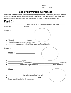 Cell Cycle Mitosis Worksheet