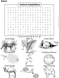 Animal-Adaptations-Word-Search
