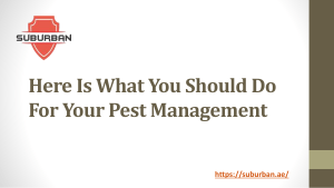Here Is What You Should Do For Your Pest Management