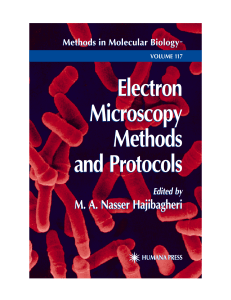 Electron-Microscopy-Methods-and-Protocols-Hajibaghery-117