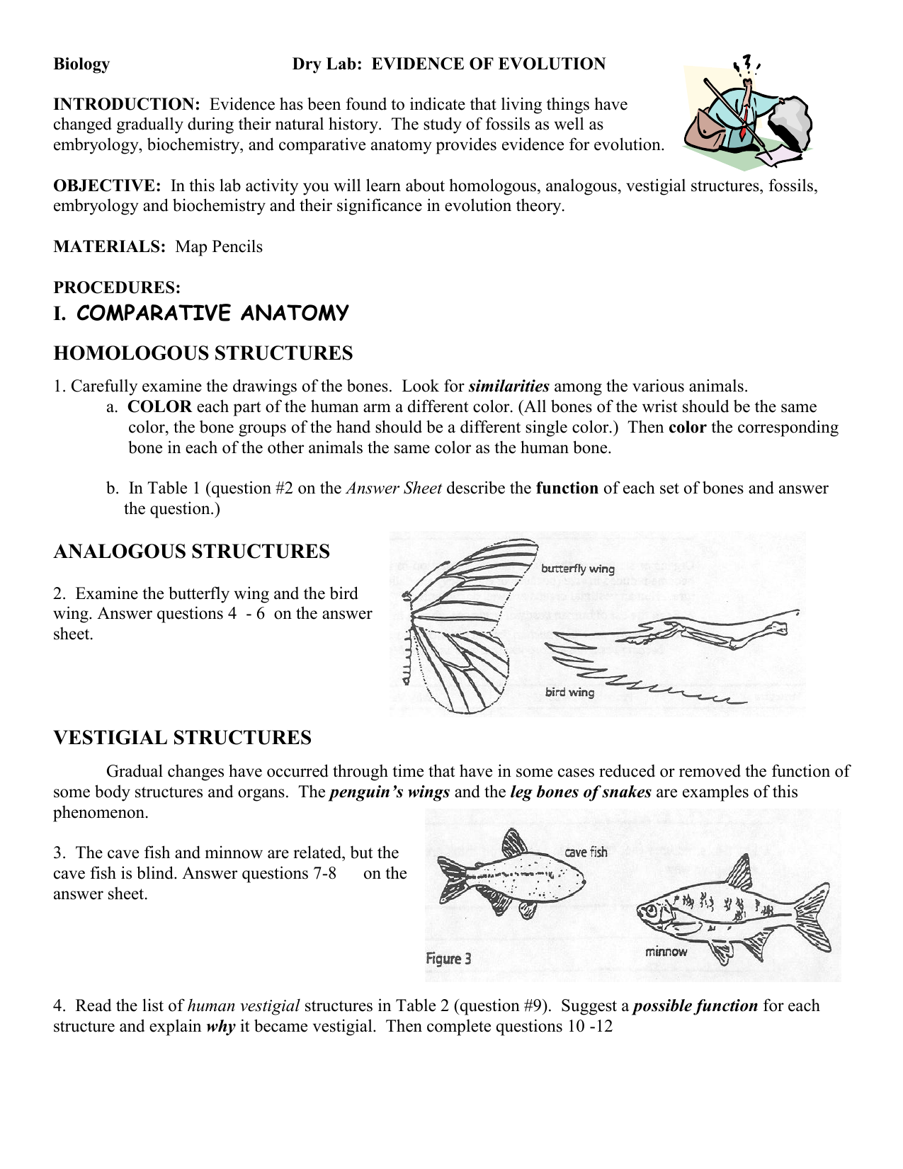 Evidence for Evolution Activity