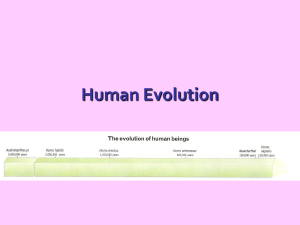 Human Evolution msf 2012