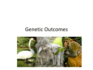 Genetics Powerpoint