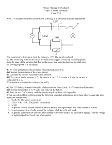 Physics-Practice-Work-sheet-120.3.20