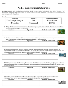 Practice Sheet - Symbiotic Relationships