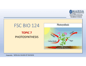 TOPIC 7 PHOTOSYNTHESIS (edited)
