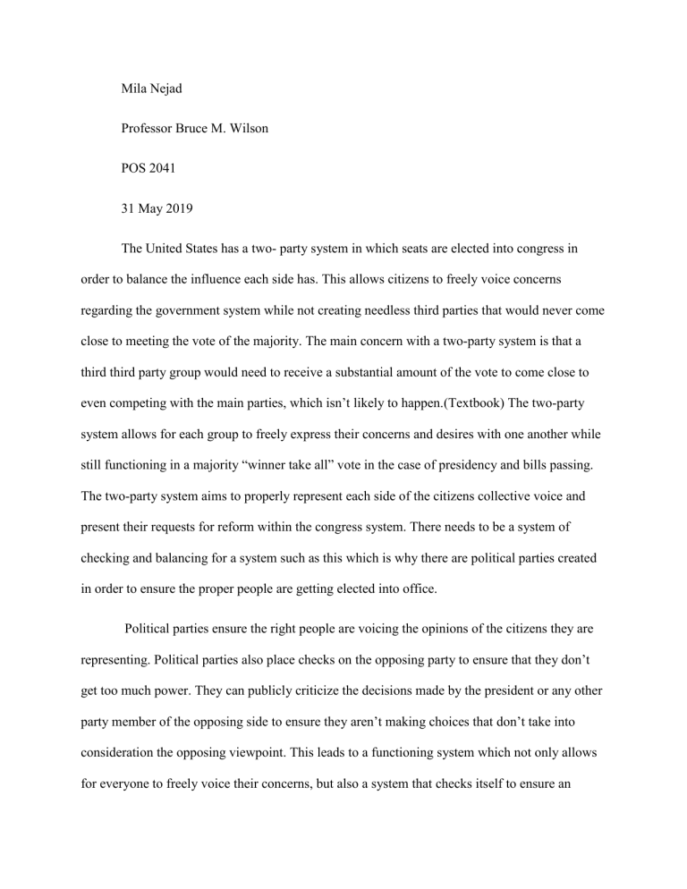 essay on us party system