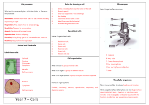 Y7 Cells Revision Mat (Answers)