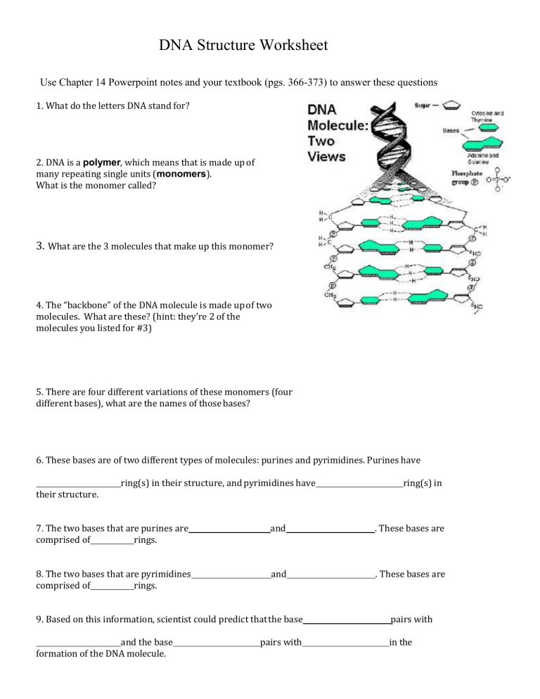 Dna Structure Worksheet