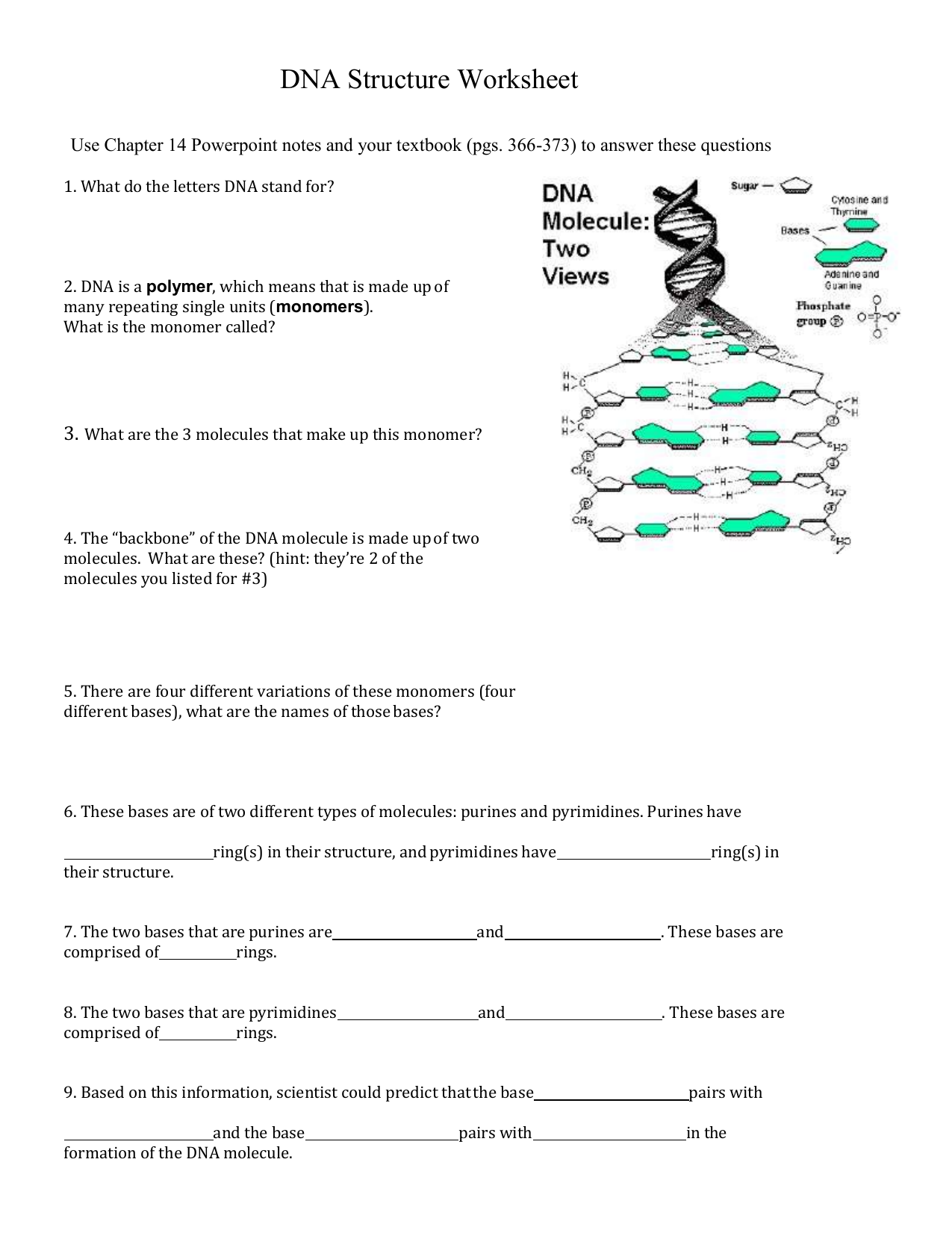 Dna Structure Worksheet Pertaining To Dna Structure Worksheet Answer Key