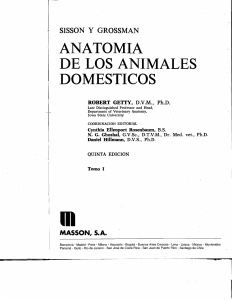10Anatomia de los Animales Domesticos(Robert Getty(Tomo 1))