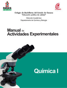 Manual lab Qumica I