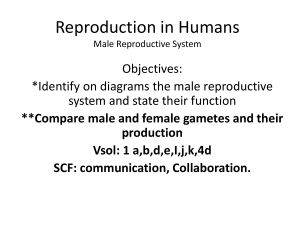 Reproduction in Humans -2016 Ms. Raj