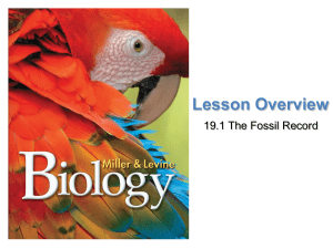 CH19.1 The fossil record