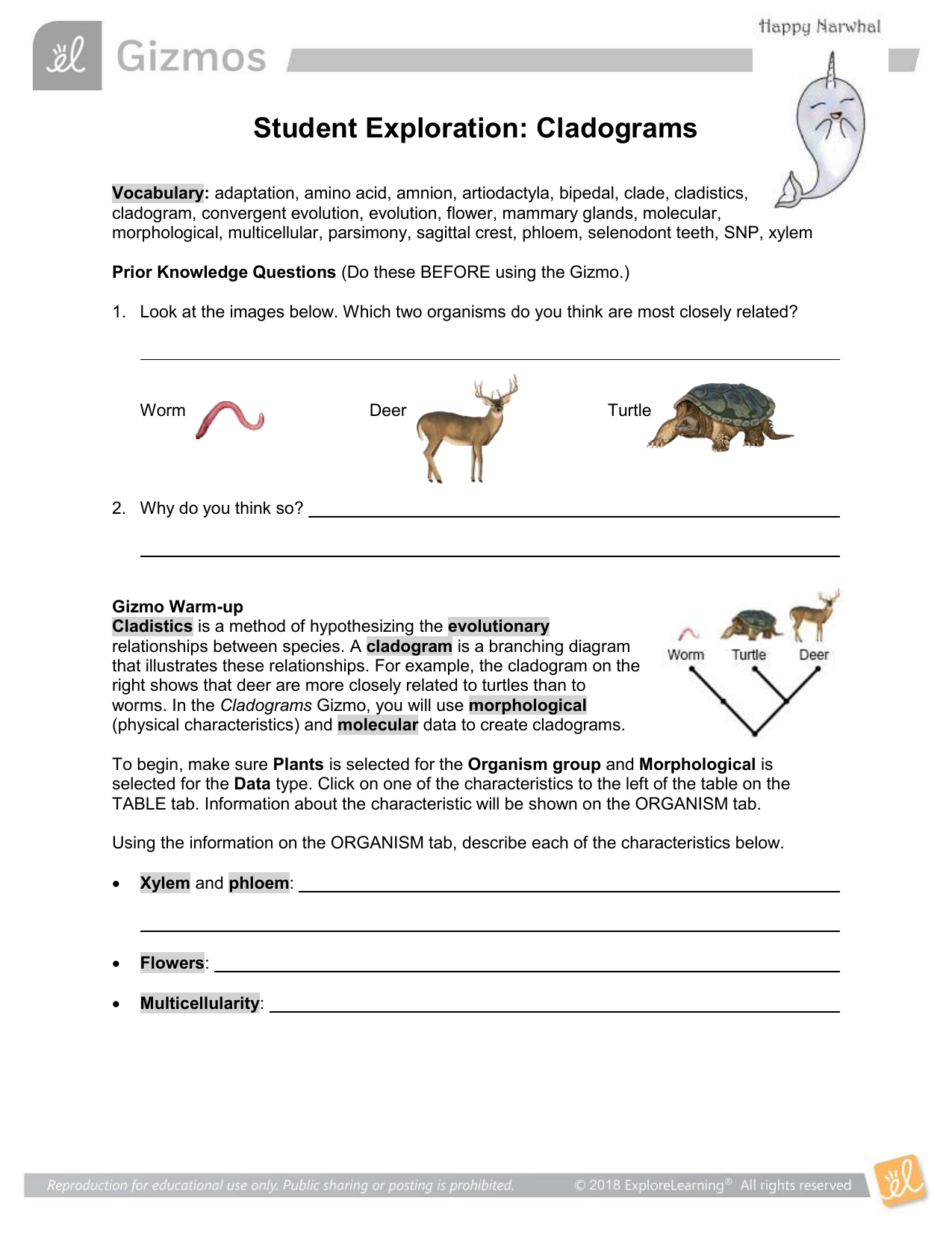 Cladogram Gizmo Lab