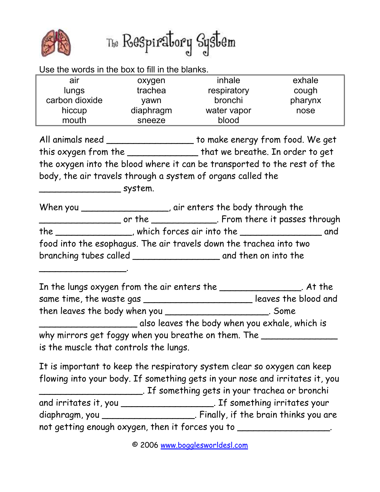 Respiratory System Cloze In The Respiratory System Worksheet