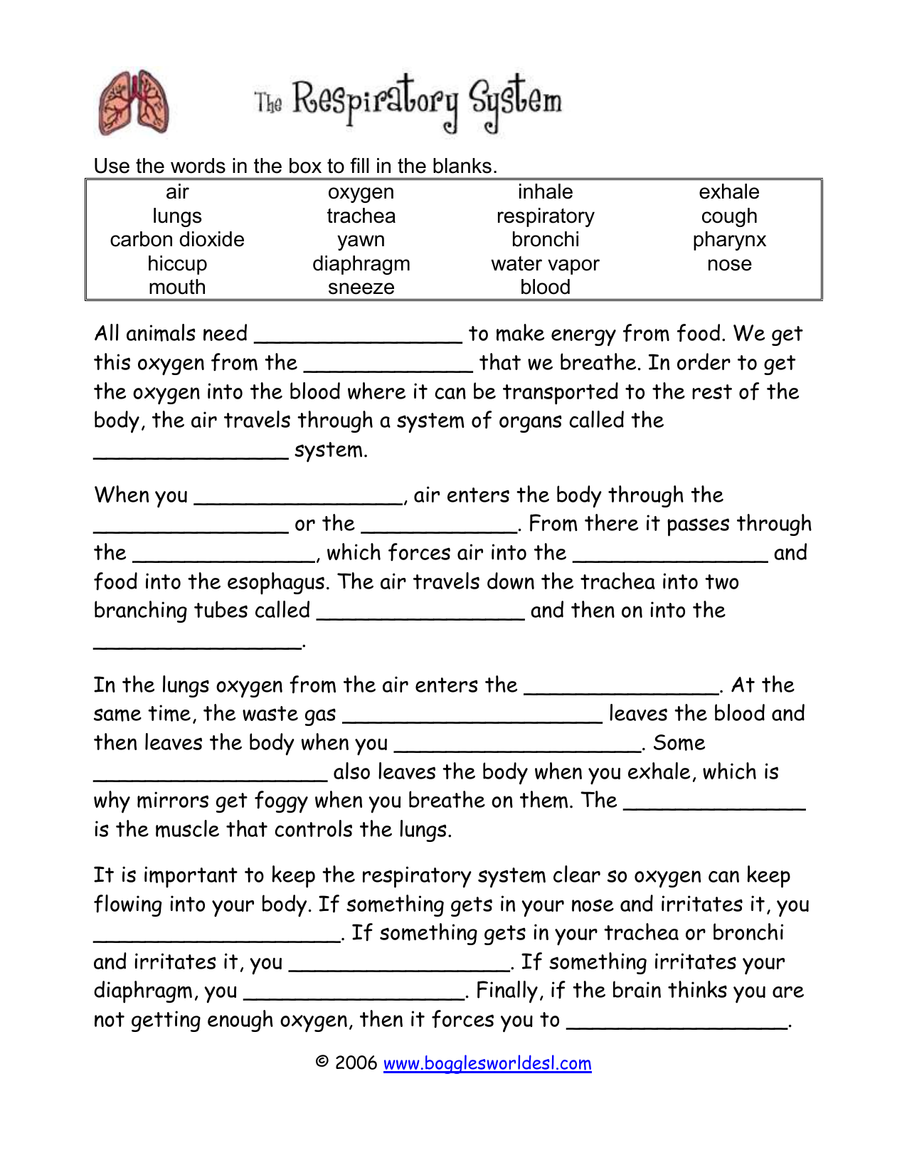 Respiratory System Cloze For The Respiratory System Worksheet