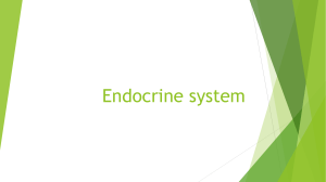 Presentation for biology endocrine system. [Autosaved]