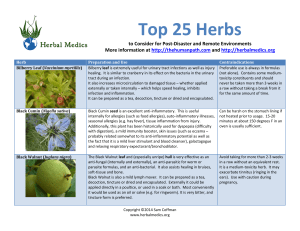 Top 25 Herbs to Consider for Post-Disaster