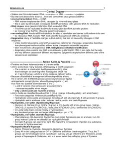 Khan Academy Notes -Biomolecules