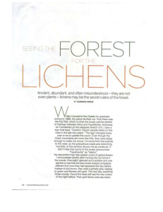 Article- Lichens