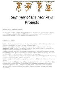 Summer of the Monkeys Literature Projects