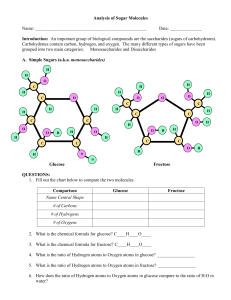 Sugar Molecules Worksheet