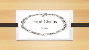 Food Chain Pop Quiz - Yr7