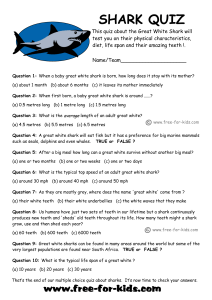 Childrens Quiz About The Great White Shark