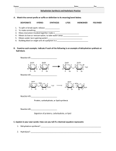 Dehydration Synthesis and Hydrolysis Practice