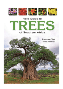 Field Guide to Trees of Southern Africa 1 pages1-146