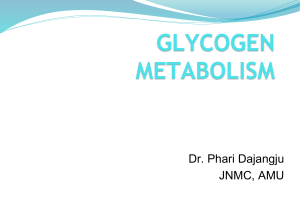 glycogenmetabolism