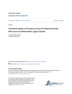 Duckweed Uptake of Phosphorus and Five Pharmaceuticals: Microcosm and Wastewater Lagoon Studies