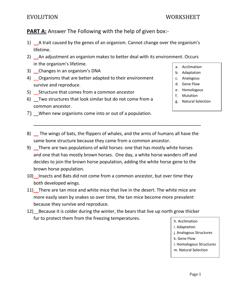 Evolution Worksheet
