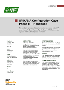 ERP Configuration Using GBI Phase III Handbook[A4] en v3.2 (2)