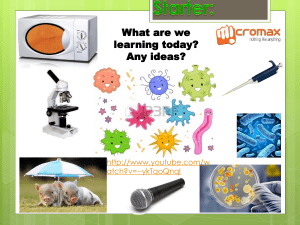 microbes ppt