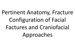 Craniofacial fractures