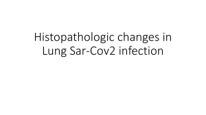 histopathology sars cov 2