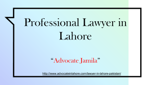 Consultant By Best Lawyer in Lahore For Success In Your Case