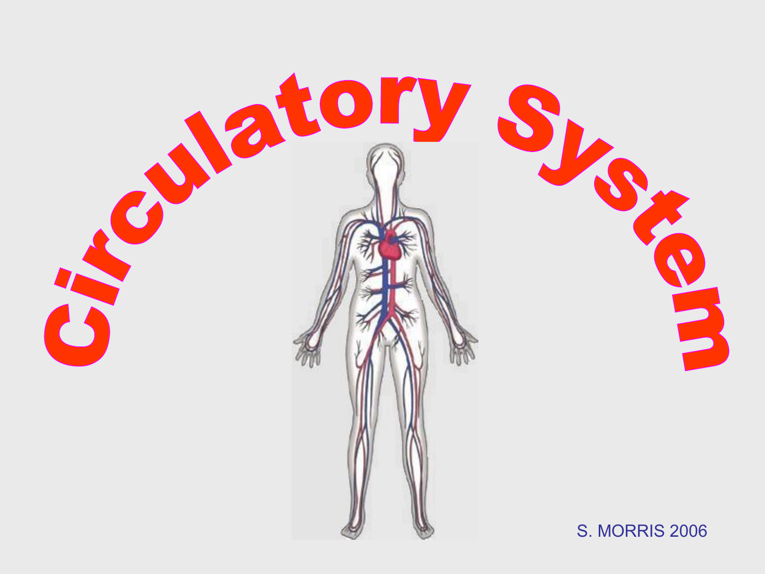 Как по английски кровь. The cardiovascular System обложка.