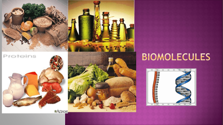 What Are Biomolecules And Why Are They Important