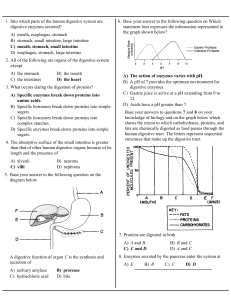 Review Digestion and Excretion answers