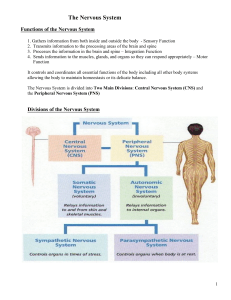 3-17 NERVOUS HANDOUT