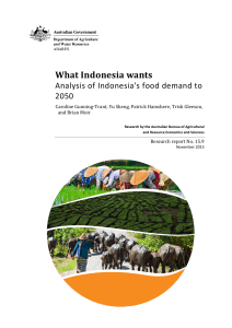 AnalysisIndonesiaFoodDemandTo2050 v.1.0.0