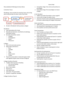 Musculoskeletal Pathology - Summary Notes