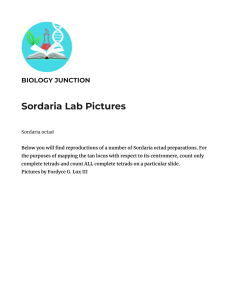 Sordaria Lab Pictures - BIOLOGY JUNCTION