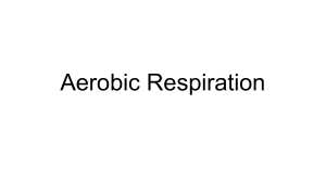 Aerobic respiration