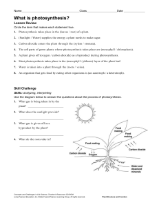 Cellular Respiration general worksheet